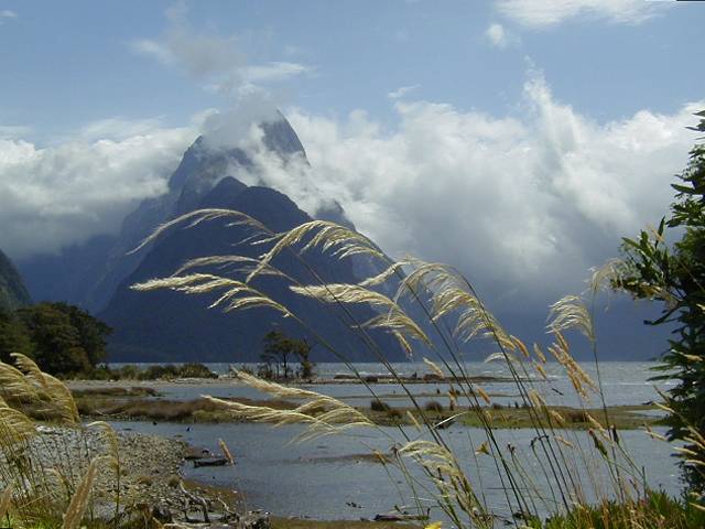 Milford Sound New Zealand. the Chasm, Milford Sound