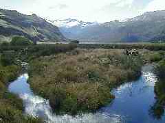 Pictures perfect Rob Roy Glacier