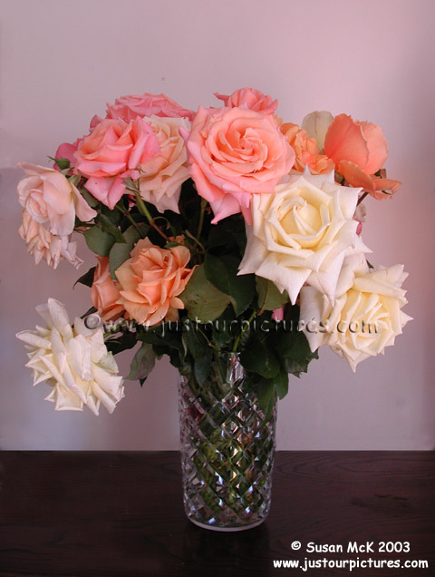 Vase Roses