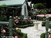 formal rose garden picture 