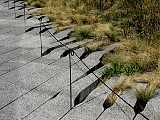 New York City, Highline walk path feature. File# 1872. Photographer: Susan